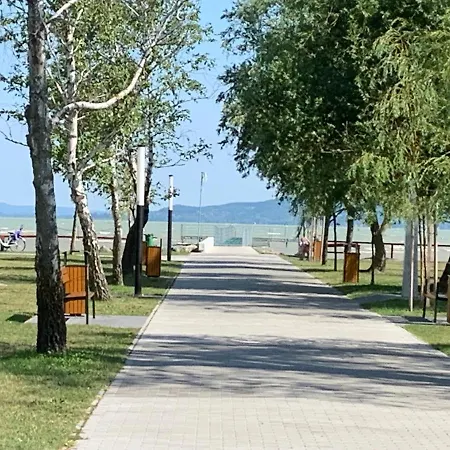 Laszlo Nyaralohaz Балатонфеньвеш