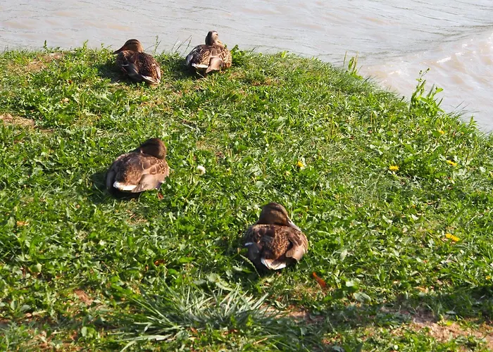 Laszlo Nyaralohaz Apartment